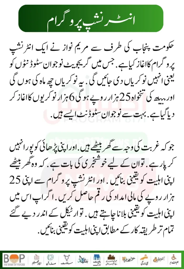 Punjab Government Launches Solar Panels Project for 50000 Eligible Families 7