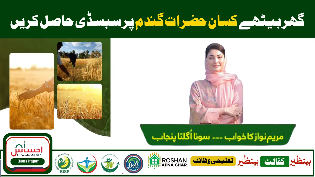 Wheat Subsidy Program 2025 – Latest News, Online Apply & Farmer Eligibility