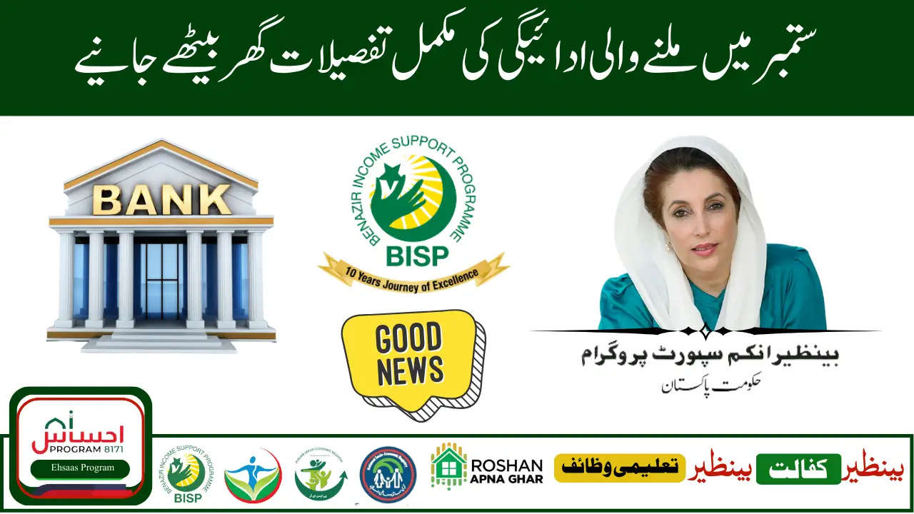 BISP 8171 CNIC Verification & Payment Tracking 2025 –Official Full Guide