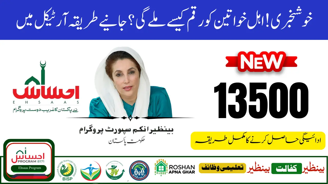 Ehsaas 8171 Web Portal Update