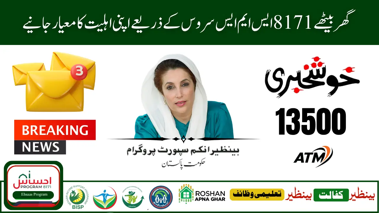 8171 SMS Code Service 2025 Check Payment Status from Mobile