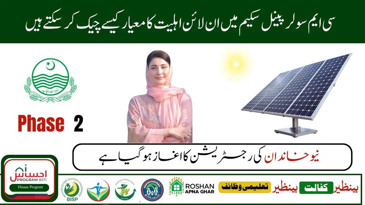 How to Apply for CM Punjab Solar Panel Scheme and Check Result