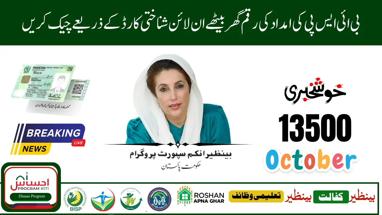 How to Check BISP 8171 Payment by CNIC Step by Step